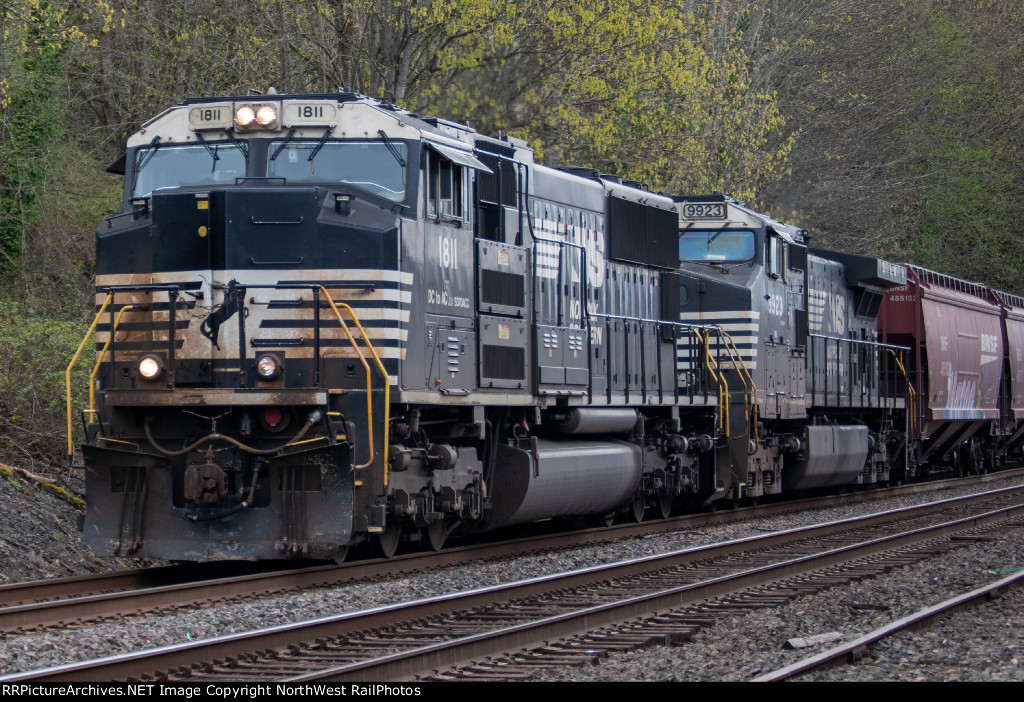NS 1811